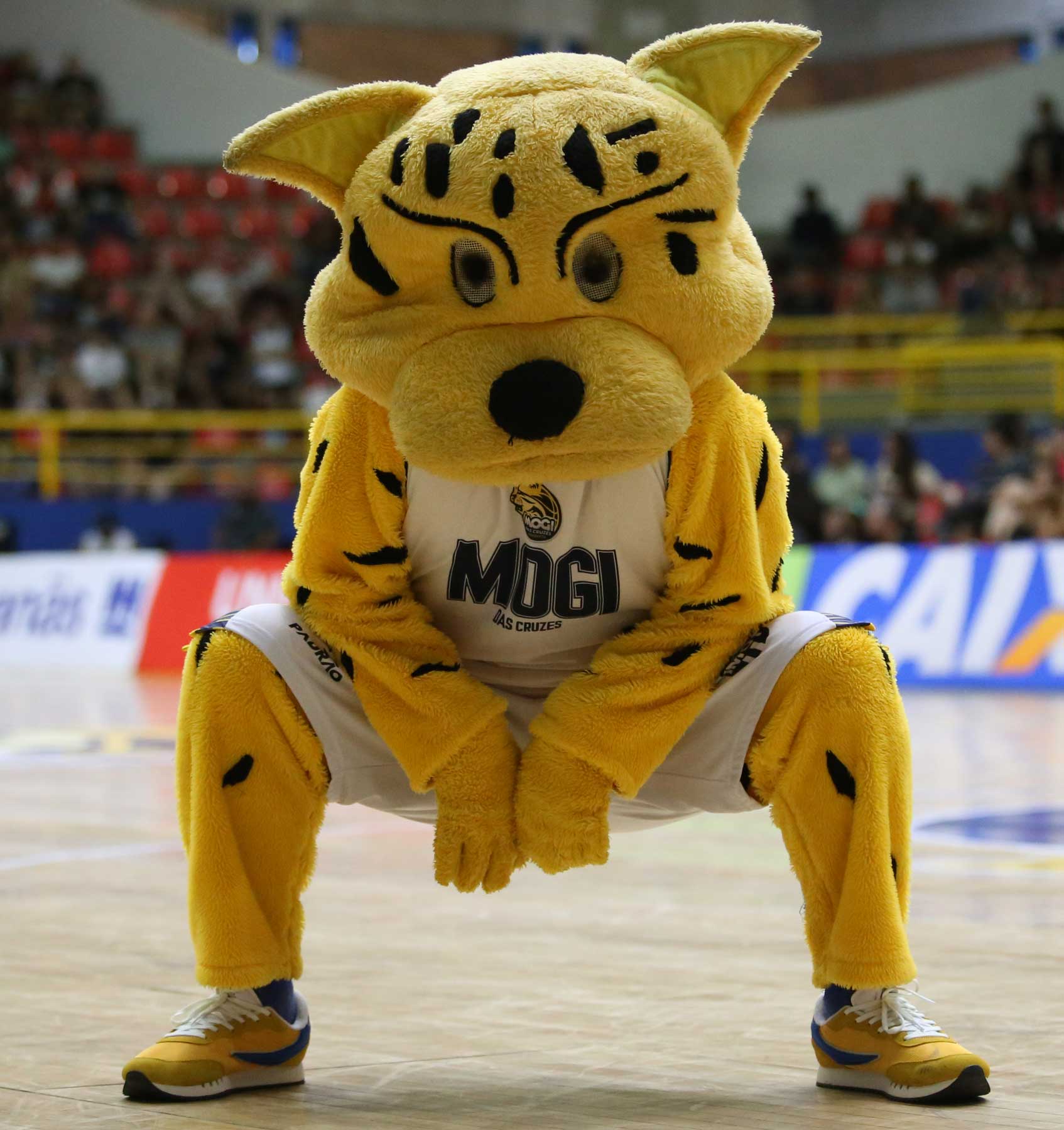 Home - Mogi Basquete